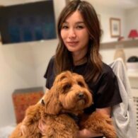 Gemma Chan's pet No Pets (Gemma Chan)