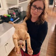 Jenna Fischer's pet Cats