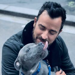 Justin Theroux Pets