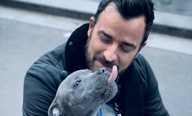 Justin Theroux Pets