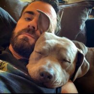 Justin Theroux's pet Kuma