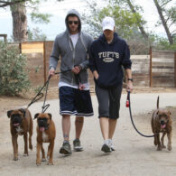 Justin Timberlake's pet Buckley and Brennan