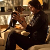 Keanu Reeves' pet Daisy the Beagle Puppy (Andy)