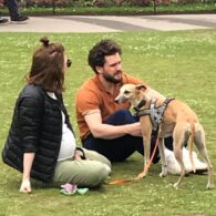 Kit Harington's pet Whippet