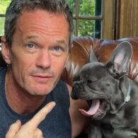 Neil Patrick Harris' pet Chunk