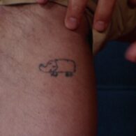 Rob Corddry's pet Hedgehog Tatto