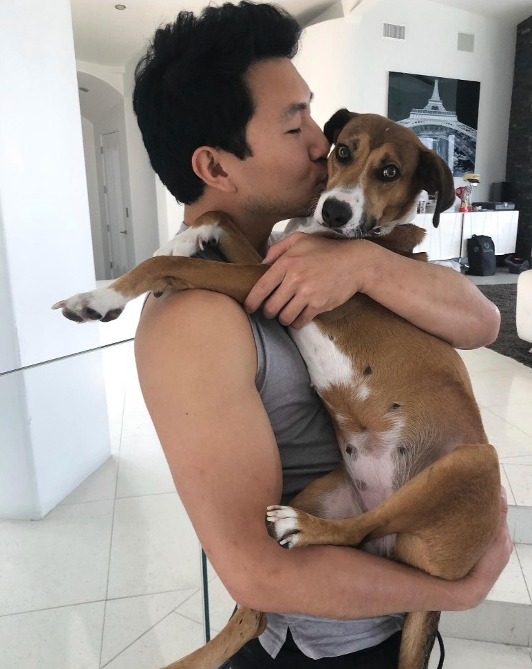 Simu Liu rescue dog Chopa adopted from Dominican Republic