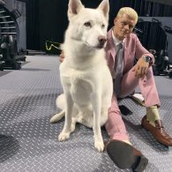 Cody Rhodes' pet Pharaoh