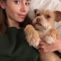 Lily Collins' pet Redford