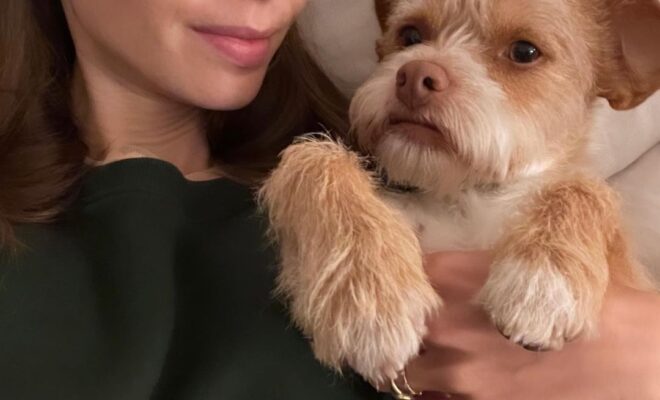 Lily Collins Pets