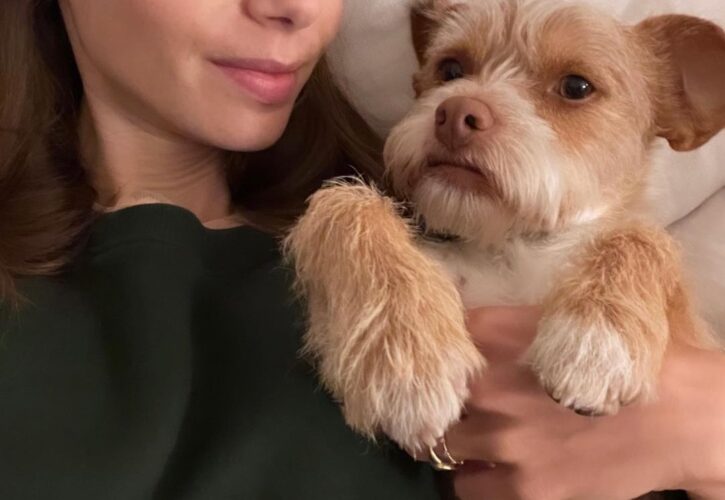 Lily Collins Pets