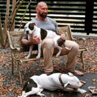 Dave Bautista's pet Ollie and Maggie