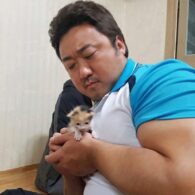 Don Lee's pet Baby Kitten