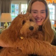 Adele's pet Bob and Freddy