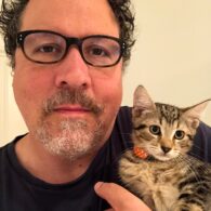 Jon Favreau's pet Cat
