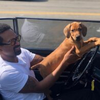 Mike Epps' pet Lil Chevy