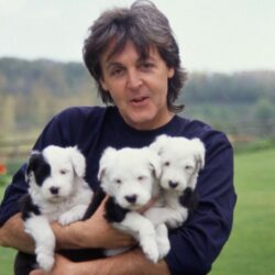 Paul McCartney Pets
