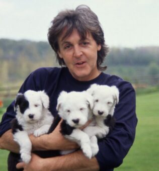 Paul McCartney Pets