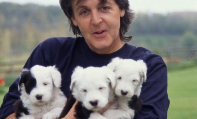 Paul McCartney Pets