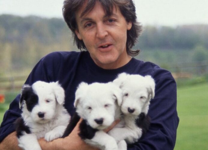 Paul McCartney Pets