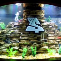 Ty Dolla Sign's pet Ty Dolla $ign’s Fish Tank