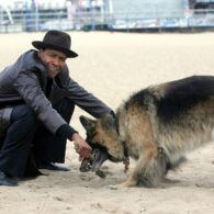 Denzel Washington's pet German Shepherd