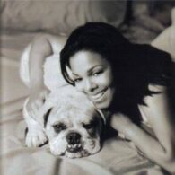 Janet Jackson's pet Bulldogs on Tour