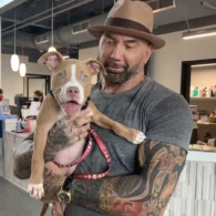 Dave Bautista's pet Penny