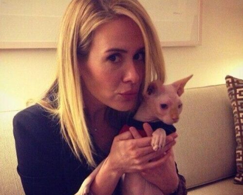 Sarah Paulson Pets