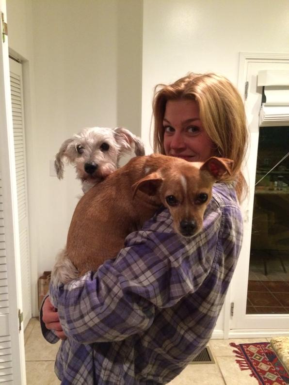 Adrianne Palicki rescue dogs
