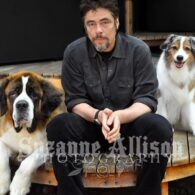 Benicio Del Toro's pet Dogs