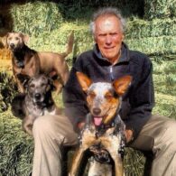 Clint Eastwood's pet Animal Farm