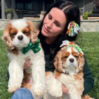Courteney Cox's pet Lilly and Bear