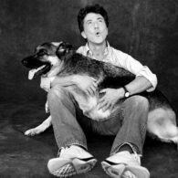 Dustin Hoffman's pet German Shepherd