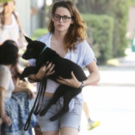 Kristen Stewart's pet Cole