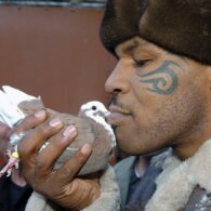 Mike Tyson's pet 1,000 Pigeons