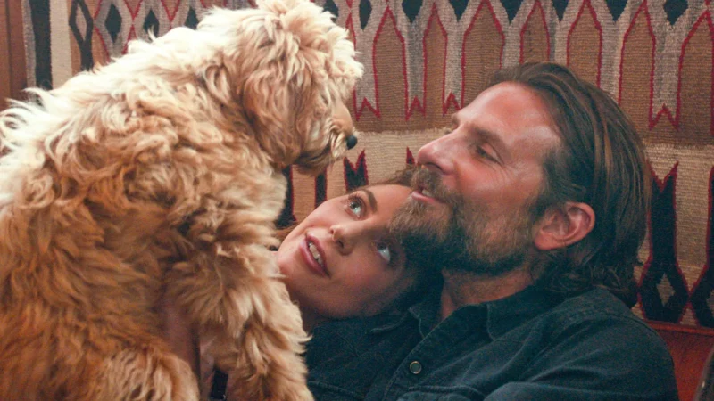 Bradley Cooper's dog Charlie from movie "A Star is Born"