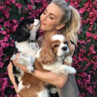 Julianne Hough's pet Lexi and Harley