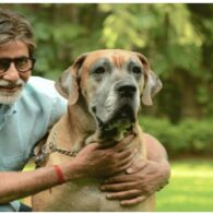 Amitabh Bachchan's pet Shanouk