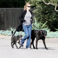 Julia Roberts' pet Dogs