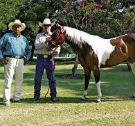 Tommy Lee Jones' pet 3000-Acre Cattle Ranch in Texas