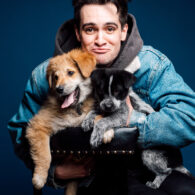 Brendon Urie's pet Penny Lane and Bogart