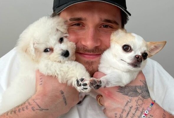 Brooklyn Beckham Pets