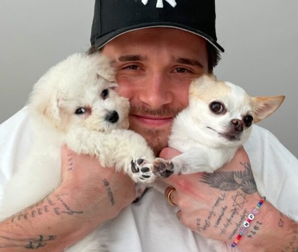 Brooklyn Beckham Pets