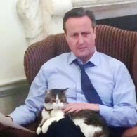 David Cameron's pet Larry