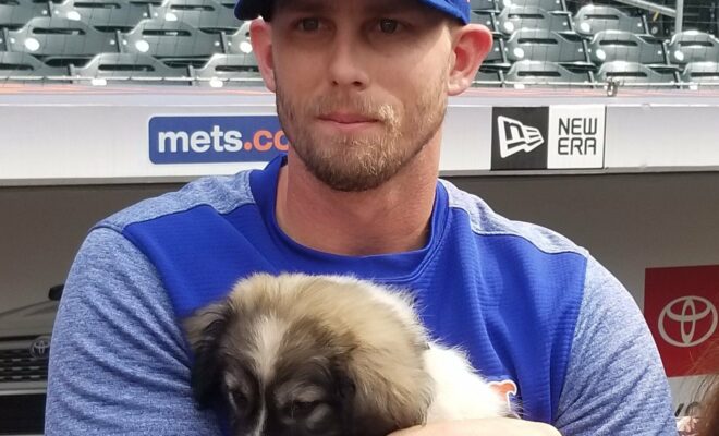 Jeff McNeil Pets