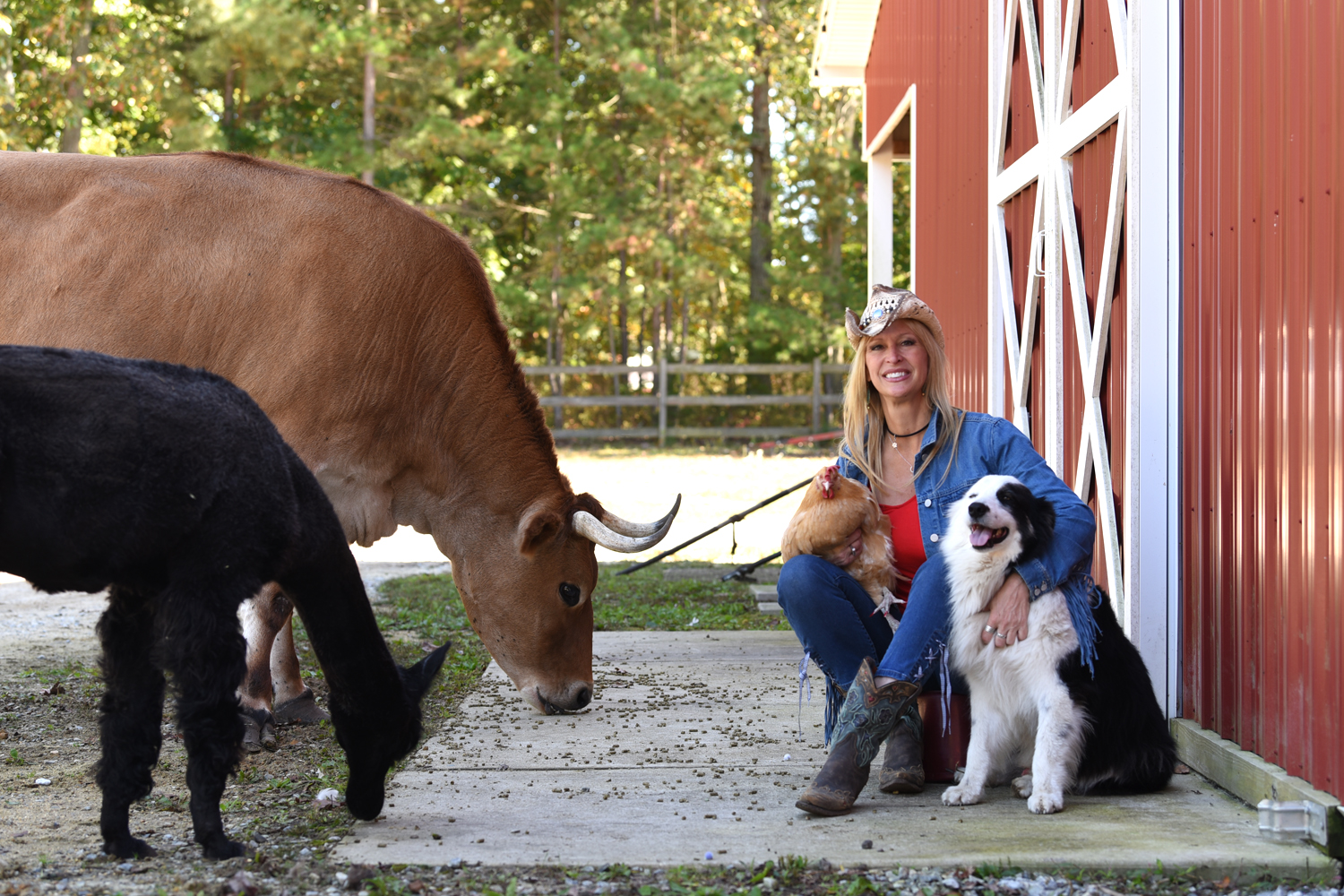 Laurie Zaleski Funny Farm1