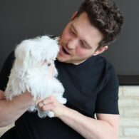 Michael Bublé's pet Simon