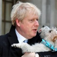 Boris Johnson's pet Dilyn