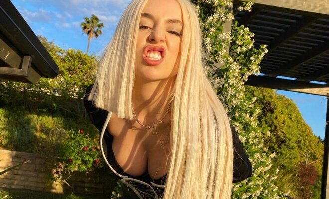 Ava Max Pets